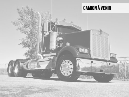 KENWORTH W900 2026