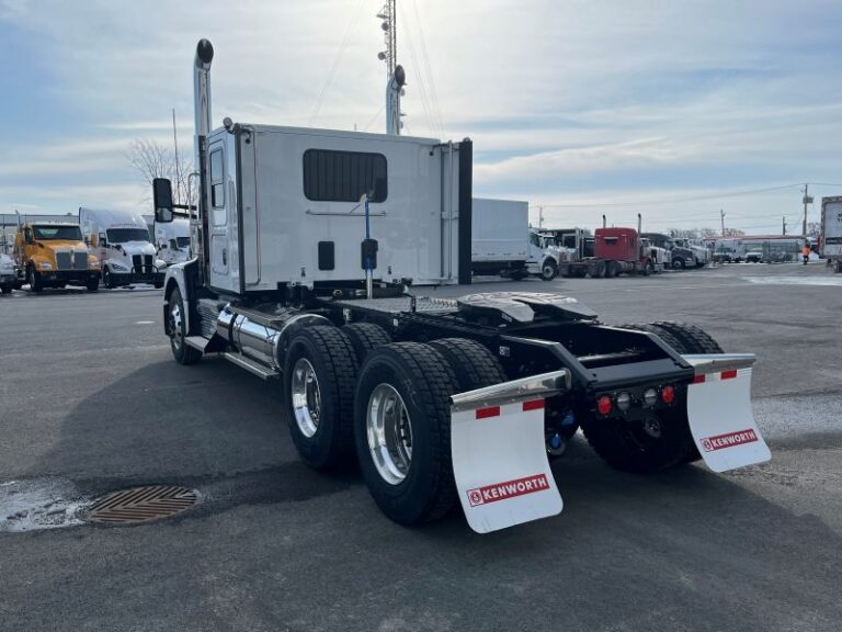 Derrière gauche angle