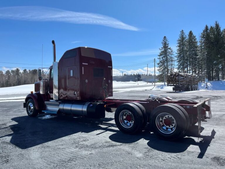 Derrière gauche angle