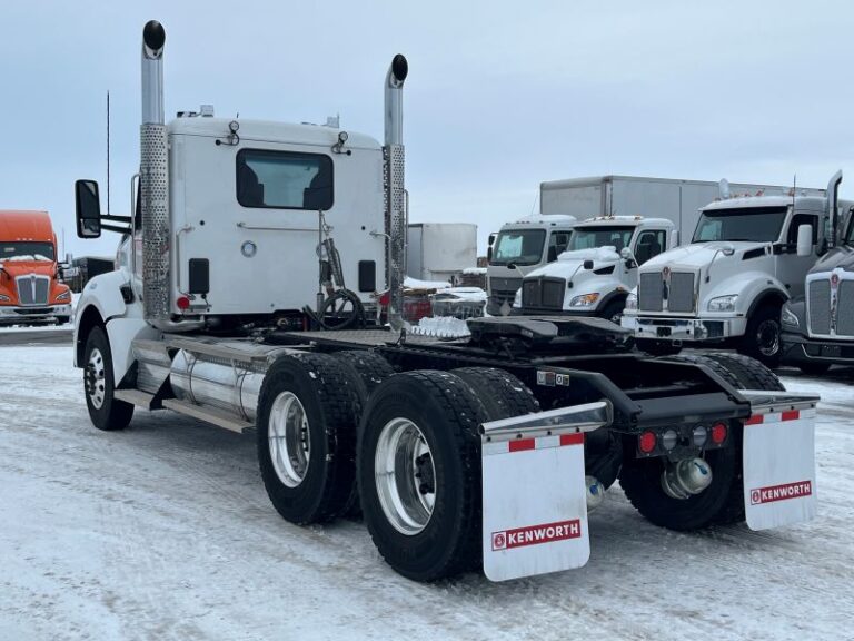 Derrière gauche angle